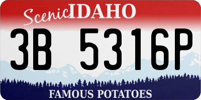 ID license plate 3B5316P