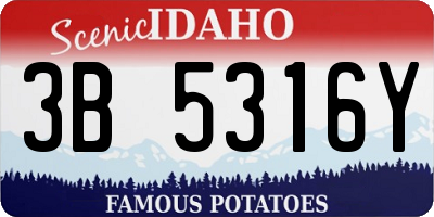 ID license plate 3B5316Y