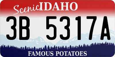 ID license plate 3B5317A