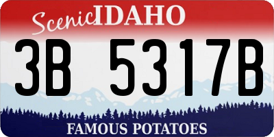 ID license plate 3B5317B