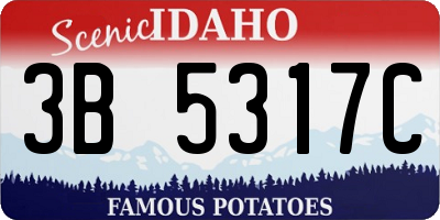 ID license plate 3B5317C