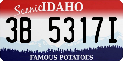 ID license plate 3B5317I