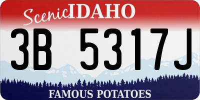 ID license plate 3B5317J