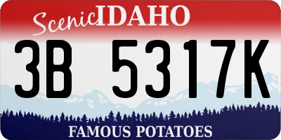ID license plate 3B5317K