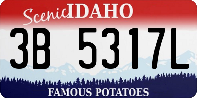 ID license plate 3B5317L