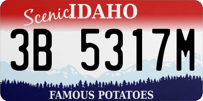 ID license plate 3B5317M
