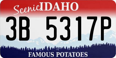 ID license plate 3B5317P