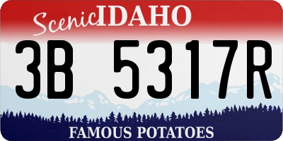 ID license plate 3B5317R