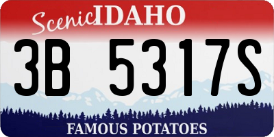 ID license plate 3B5317S