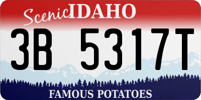 ID license plate 3B5317T