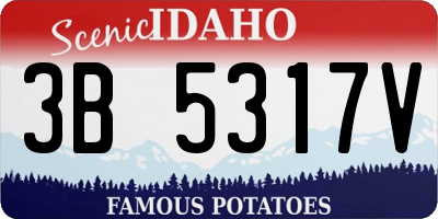 ID license plate 3B5317V