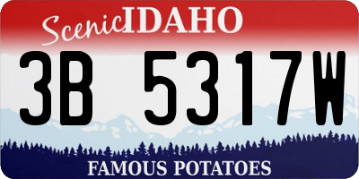 ID license plate 3B5317W