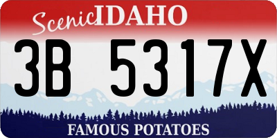ID license plate 3B5317X