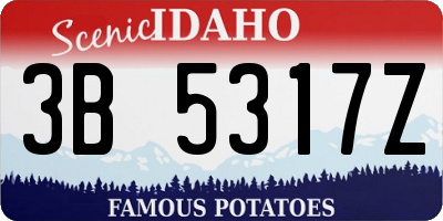 ID license plate 3B5317Z