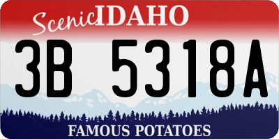 ID license plate 3B5318A