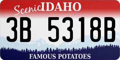 ID license plate 3B5318B