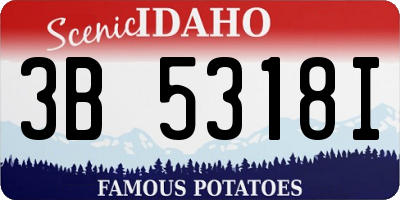 ID license plate 3B5318I