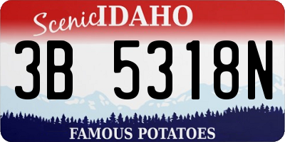 ID license plate 3B5318N