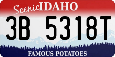 ID license plate 3B5318T