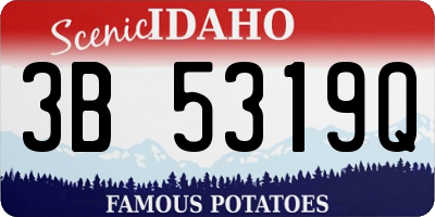 ID license plate 3B5319Q