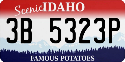 ID license plate 3B5323P