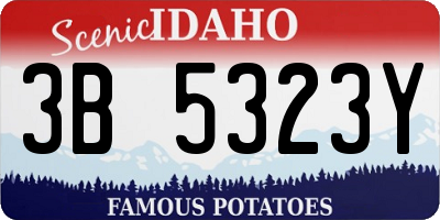 ID license plate 3B5323Y
