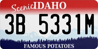 ID license plate 3B5331M