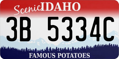 ID license plate 3B5334C