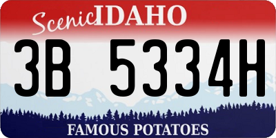 ID license plate 3B5334H