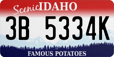 ID license plate 3B5334K