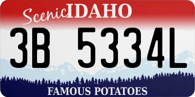 ID license plate 3B5334L