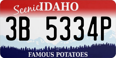 ID license plate 3B5334P