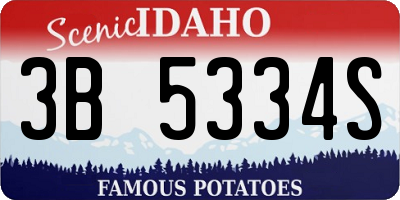 ID license plate 3B5334S