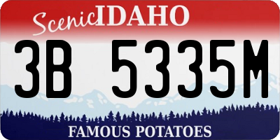 ID license plate 3B5335M