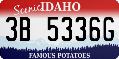 ID license plate 3B5336G