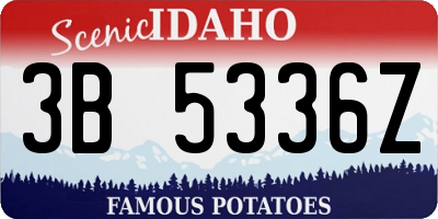 ID license plate 3B5336Z
