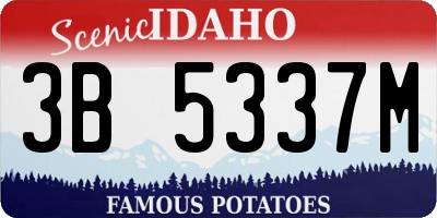 ID license plate 3B5337M