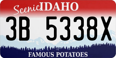 ID license plate 3B5338X