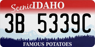 ID license plate 3B5339C