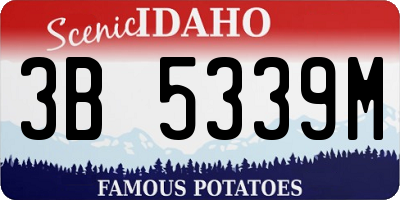 ID license plate 3B5339M