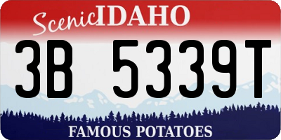 ID license plate 3B5339T