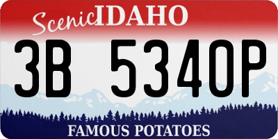 ID license plate 3B5340P