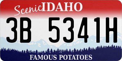 ID license plate 3B5341H
