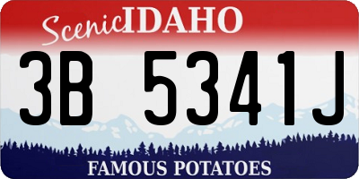 ID license plate 3B5341J