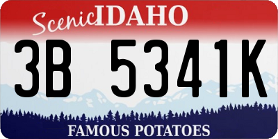 ID license plate 3B5341K