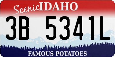 ID license plate 3B5341L