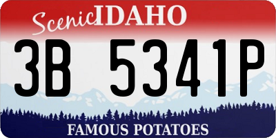 ID license plate 3B5341P