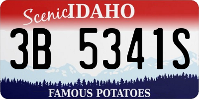 ID license plate 3B5341S