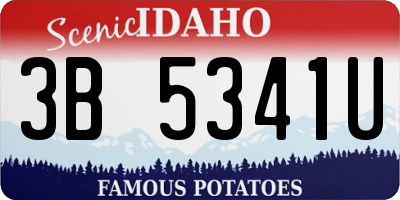 ID license plate 3B5341U