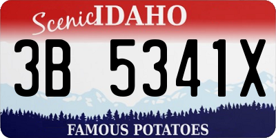 ID license plate 3B5341X